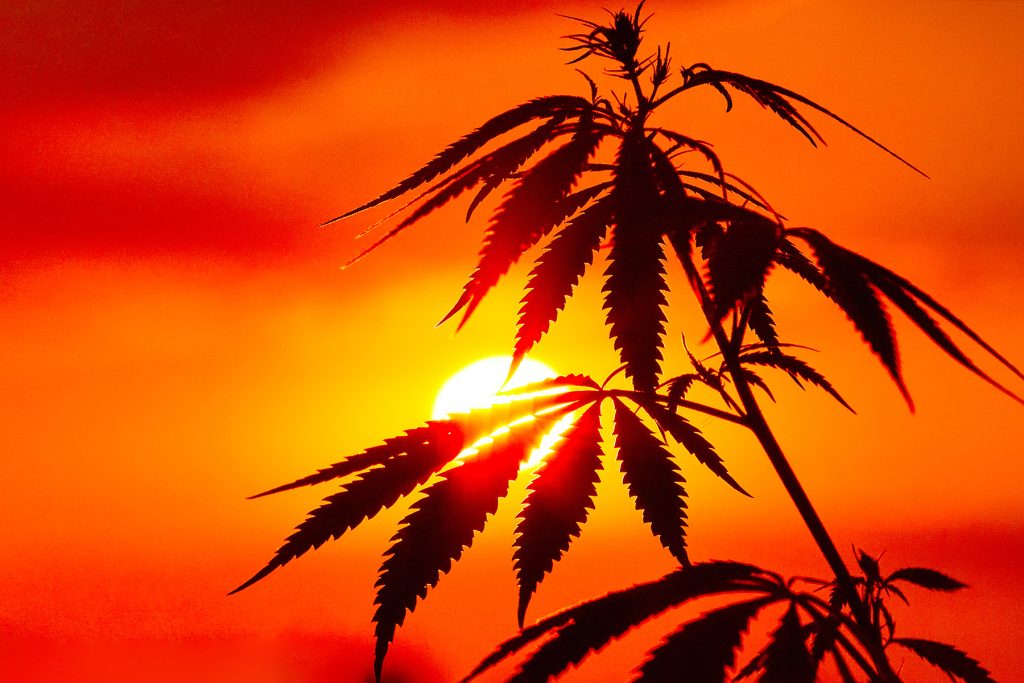 Midwest Cannabis Markets: Growth, Challenges and a New Era of Banking Partnerships